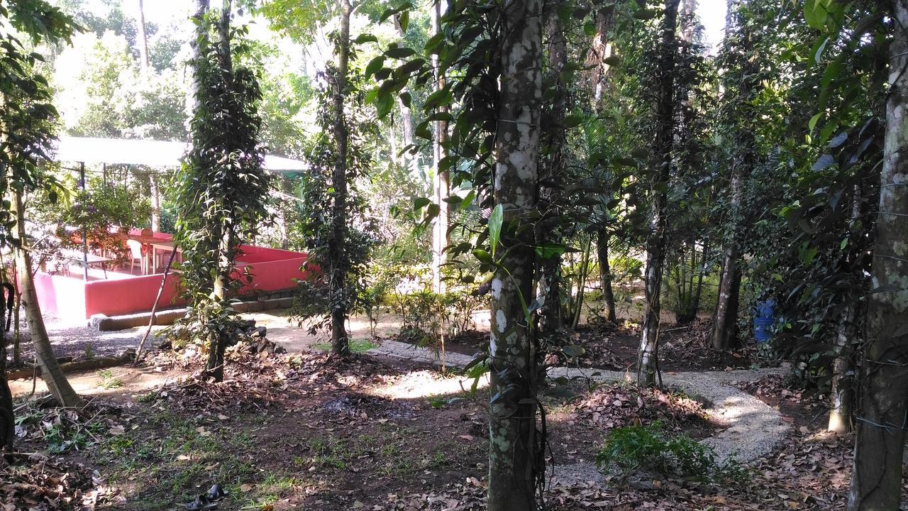Philip Mary Farm Stay Теккади Экстерьер фото