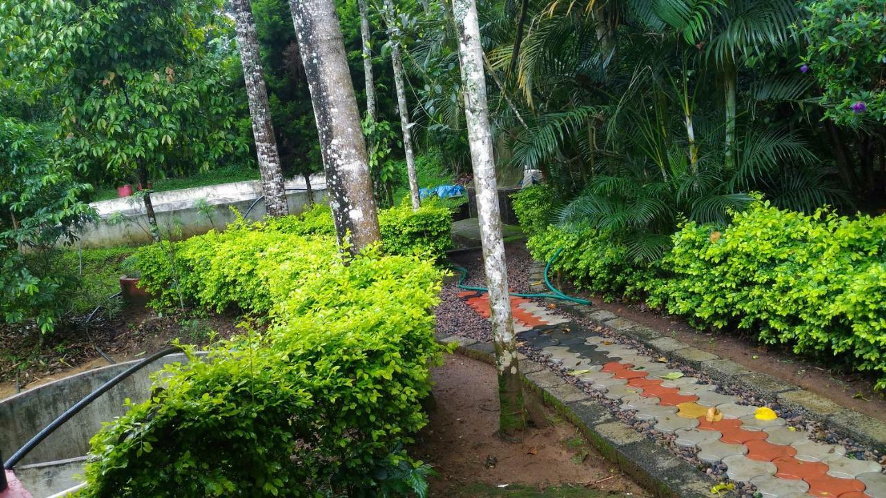 Philip Mary Farm Stay Теккади Экстерьер фото
